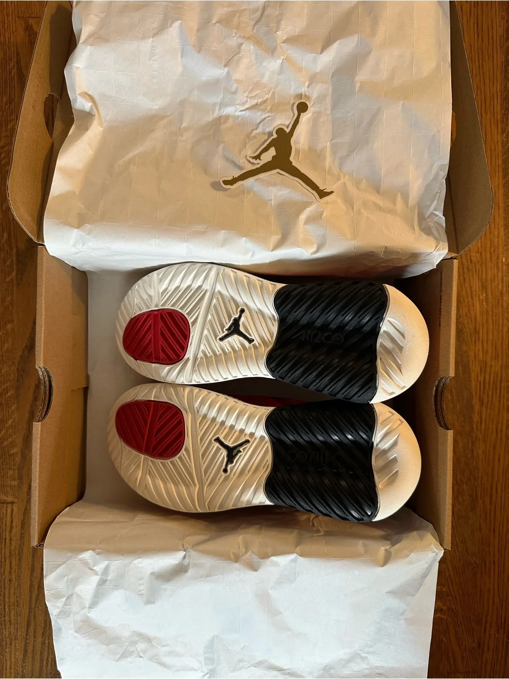 JORDAN MAX 200 (GS)